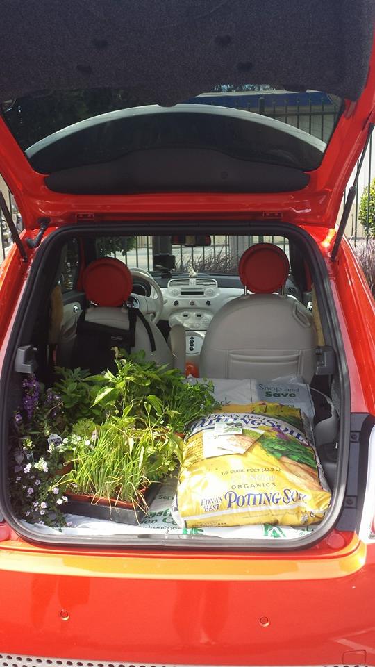 You don't need a truck to garden. Hauling home in the EV.